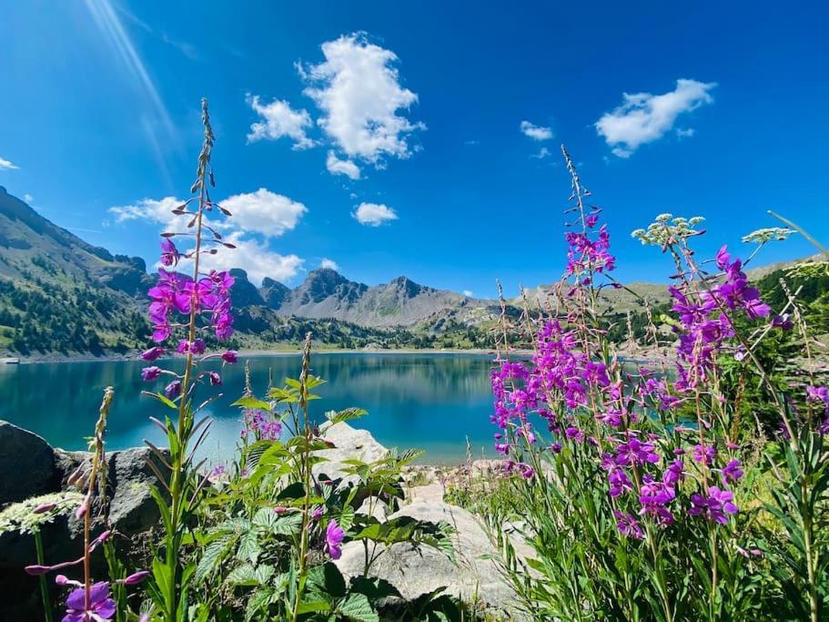 Studio De Charme Avec Vue Sur Le Val D'Allos, Parking Et Wifi Gratuit Bagian luar foto